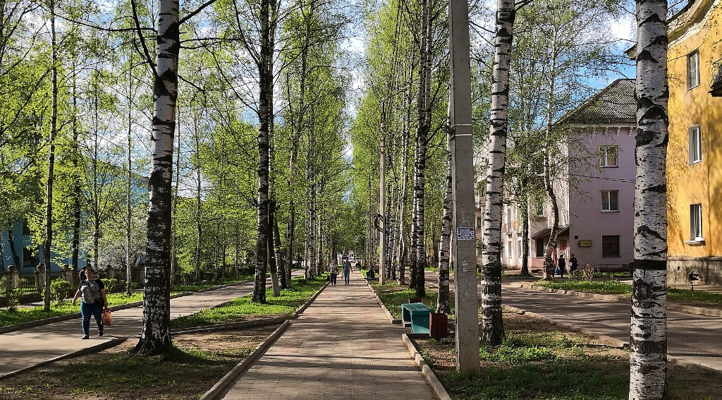 Die Birkenallee ist die Prachtstraße in Nelodovo. In den Nebenstraßen sieht es deutlich anders aus